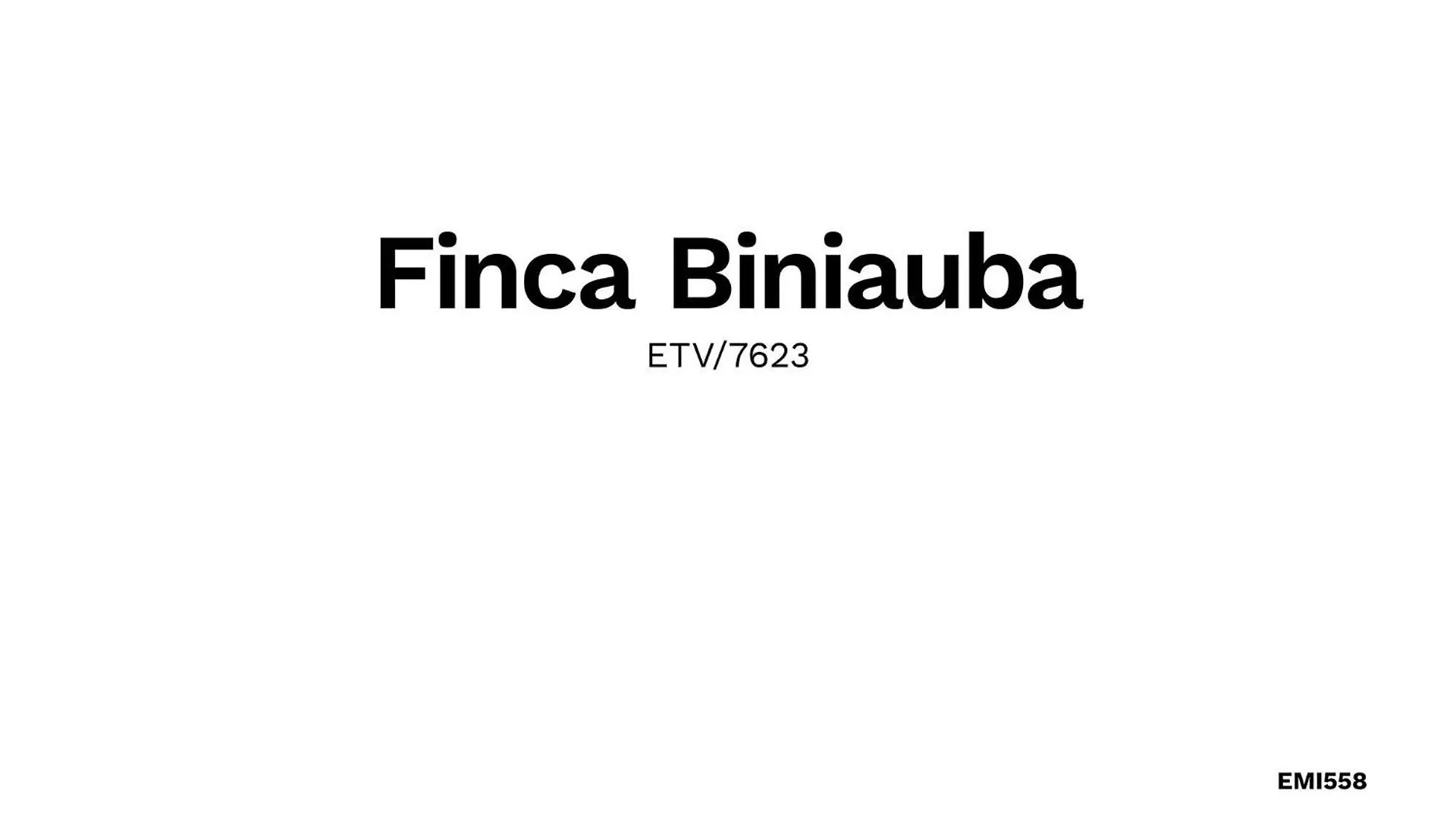 Holiday home Biniauba Villa Esporles